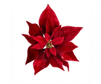 STELLA NATALE...