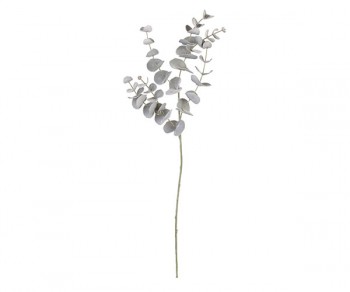 EUCALIPTO GRIGIO 860 (Min.12)