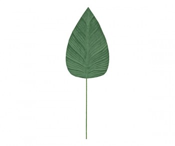 FOGLIA VERDE H.370 (120)