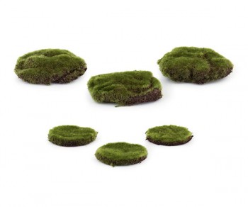 S/9 ZOLLE MUSCHIO CASTAGNO...