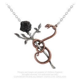 A Rose for Eve