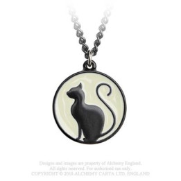 Meow at the Moon