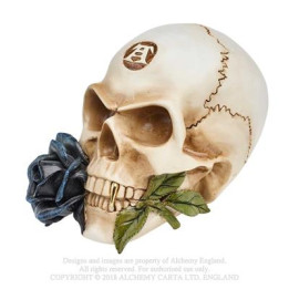Black Rose Alchemist - Sk
