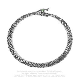 The Sophia Serpent