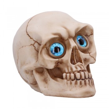 Eyes Wide Open (Blue) 12cm