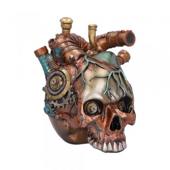 Cardiac Cranium 17.5cm