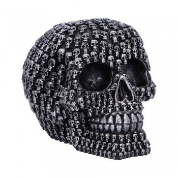 Crania 15cm