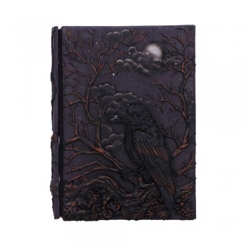 Raven's Grimoire Journal 19cm