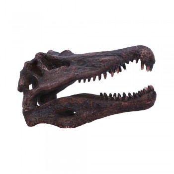 Spinosaurus Skull 16cm