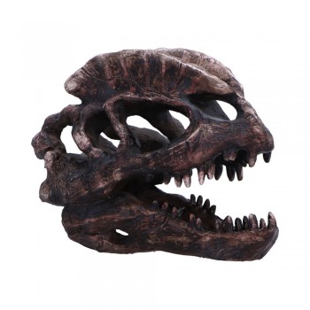 Dilophosaurus Skull 16cm