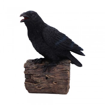 Ravens Cry 18cm