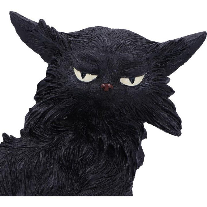 Salem (Small) 19.6cm