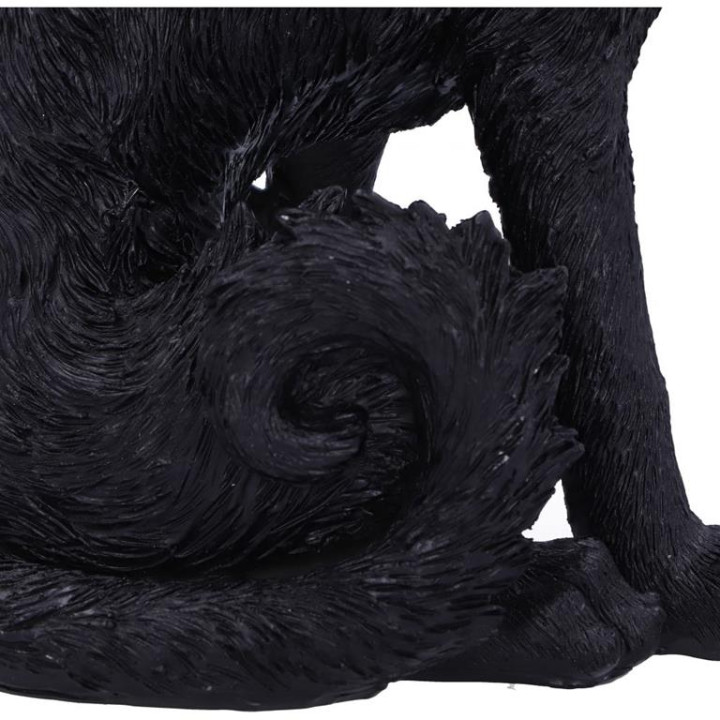 Salem (Small) 19.6cm