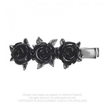 Wild Black Rose