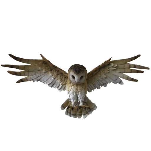 Wisdom Flight 54,5cm
