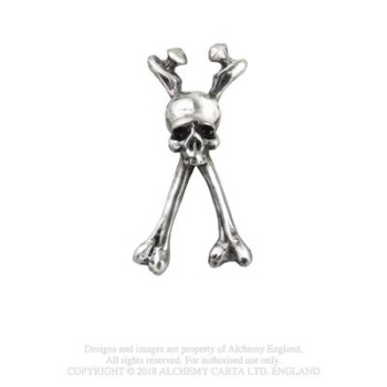 Long Bone