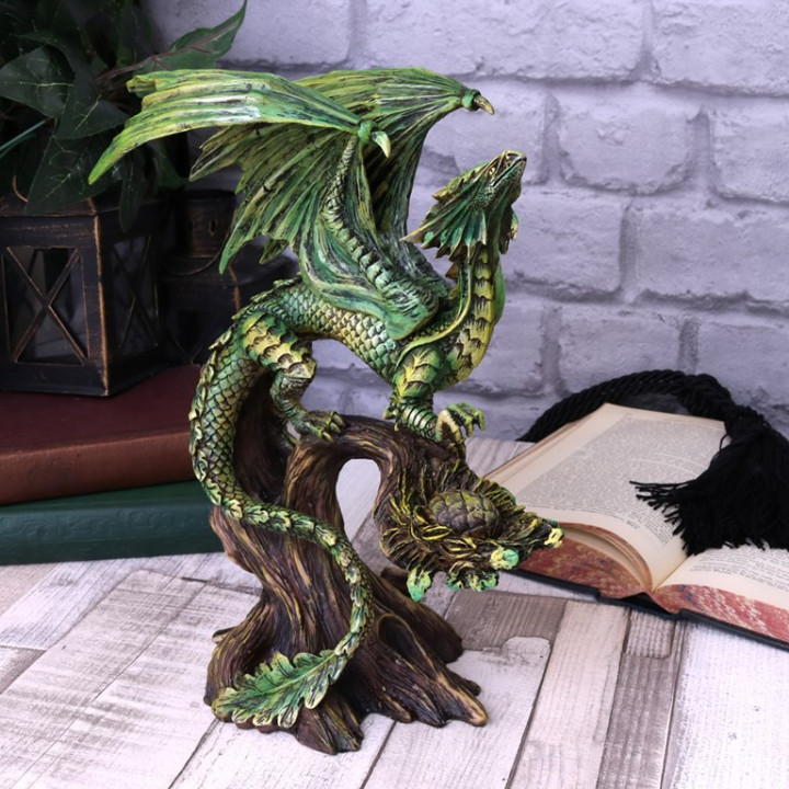 Adult Forest Dragon (AS)