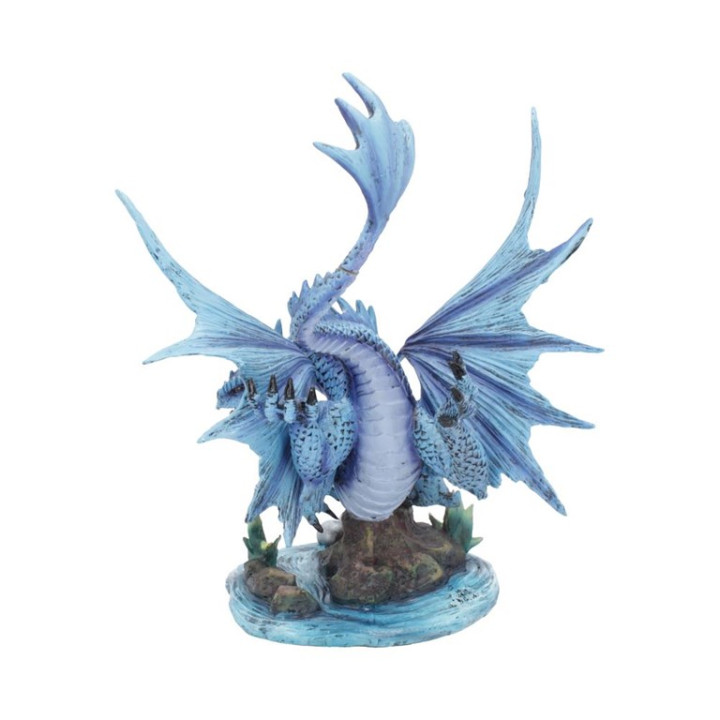Adult Water Dragon (AS) 3