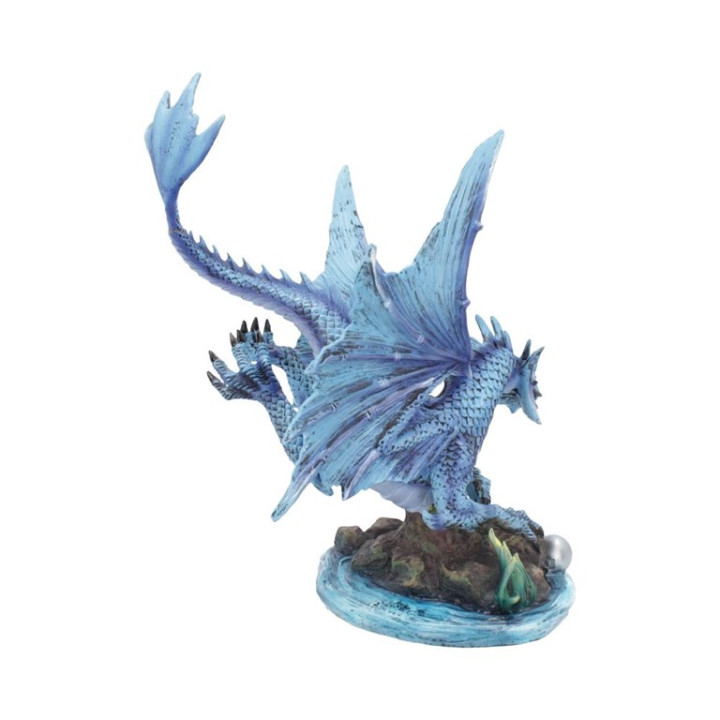 Adult Water Dragon (AS) 3