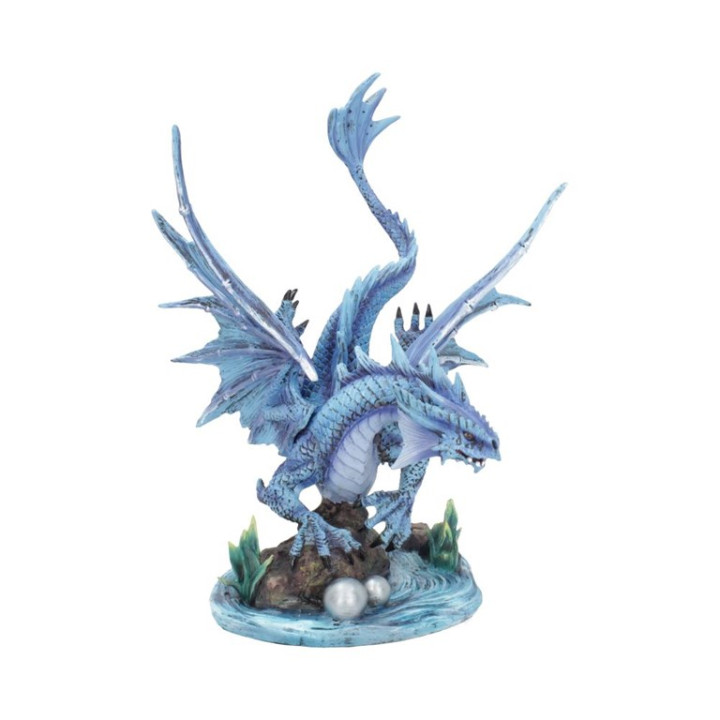 Adult Water Dragon (AS) 3