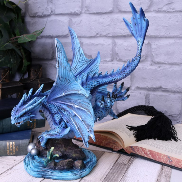 Adult Water Dragon (AS) 3