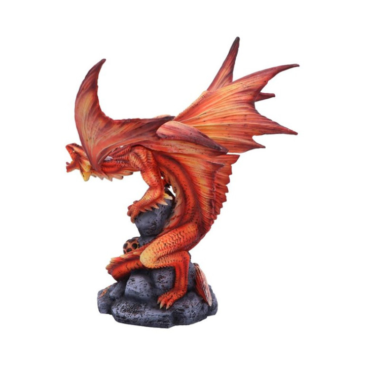 Adult Fire Dragon (AS) 24