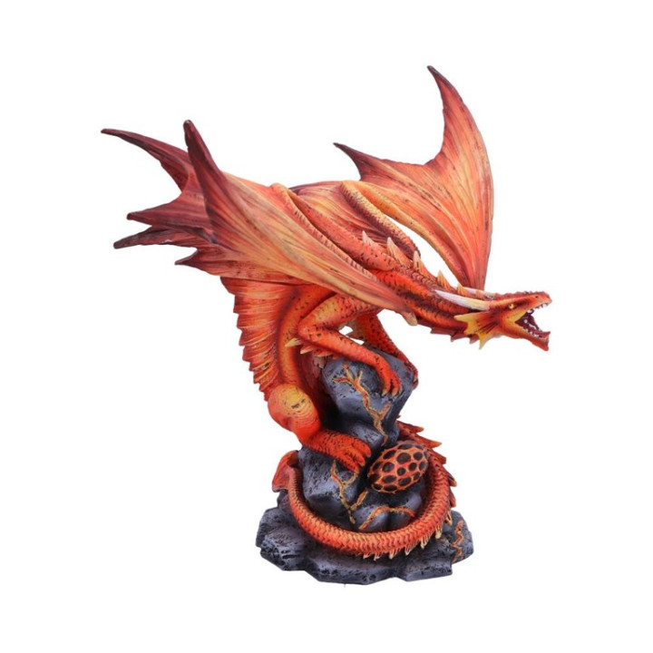 Adult Fire Dragon (AS) 24