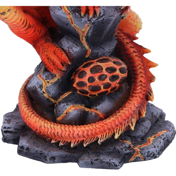 Adult Fire Dragon (AS) 24