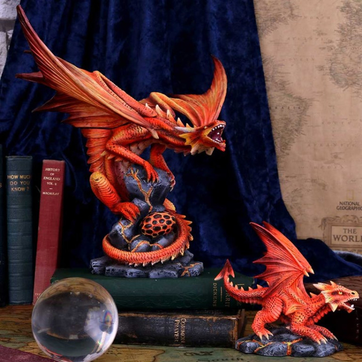 Adult Fire Dragon (AS) 24
