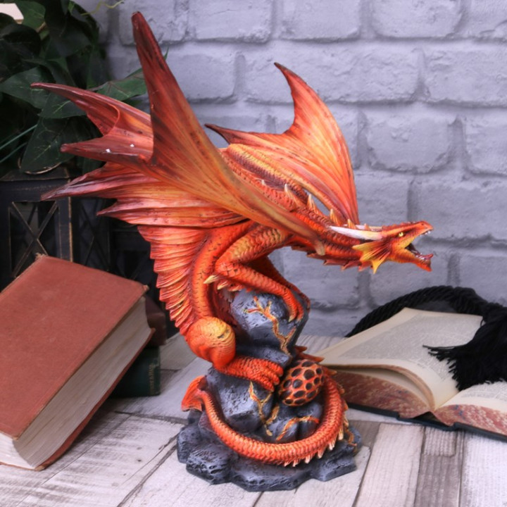 Adult Fire Dragon (AS) 24