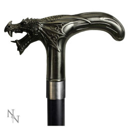 Dragons Roar Swaggering