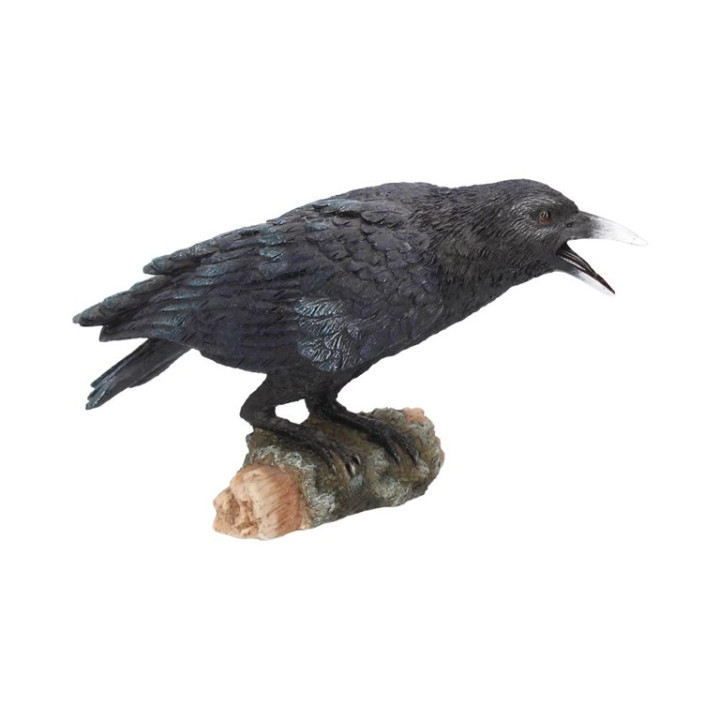 Ravens Call 20cm