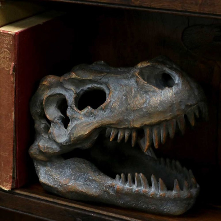 Tyrannosaurus Rex Skull F