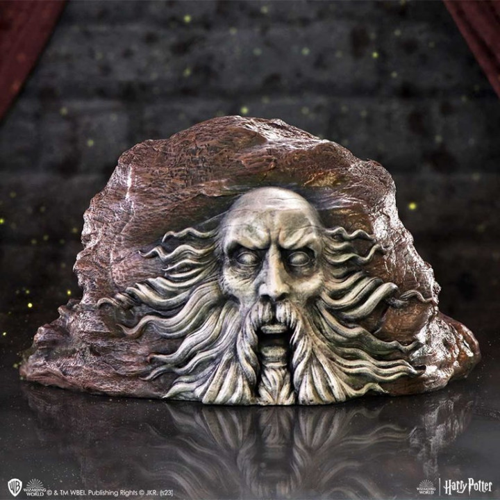 Harry Potter Chamber of S