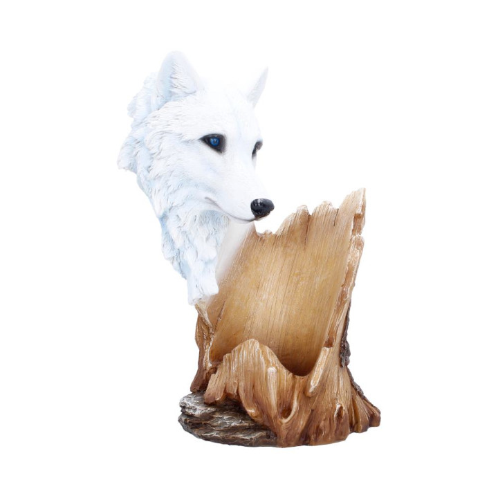 Pour of the Wild 25cm