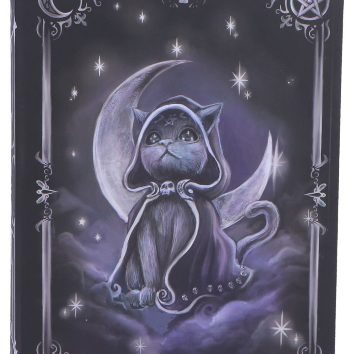 Zefur Journal 17cm