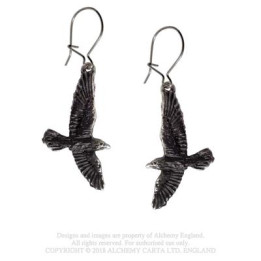 Black Raven