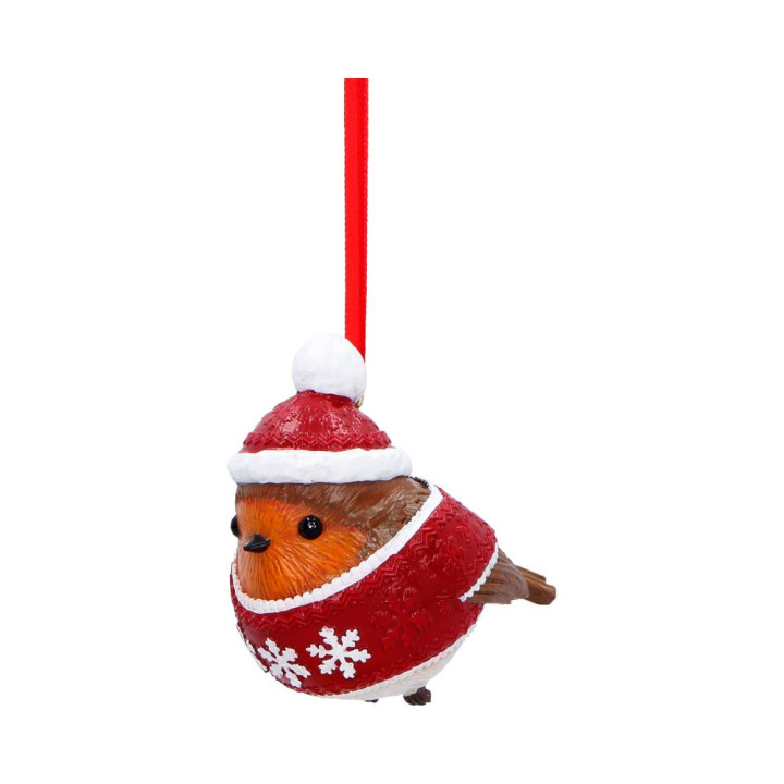 Robin Winter Warmth Hangi