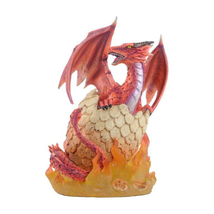 Sujet dragon couleur avec
