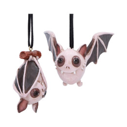 Sneak and Peak Hanging Or